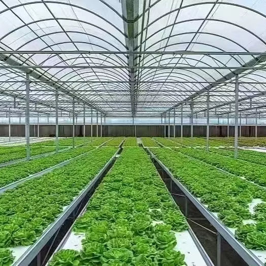 GrowMax Deep Water Culture (DWC) System GrowMax Deep Water Culture (DWC) System